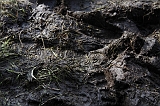Occultfest 2011_139
